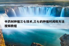 <b>��ҩ����ֲ���߼���,���ߵ���ֲʱ��ͷ�����Ƶ�̳�</b>