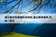 <b>�ѹ�Ӣ��Ч��ͬ����ҩ��,�ѹ�Ӣ����ͬ,ҩЧһ��ô</b>
