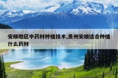 <b>��˳������ҩ����ֲ����,���ݰ�˳�ʺ���ֲʲôҩ��</b>