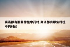 <b>���嶼����Щ��ֲ��ҩ��,���嶼����Щ��ֲ��ҩ�ĵ�</b>