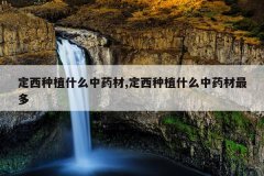 <b>������ֲʲô��ҩ��,������ֲʲô��ҩ�����</b>