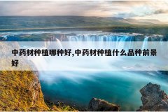 <b>��ҩ����ֲ���ֺ�,��ҩ����ֲʲôƷ��ǰ����</b>