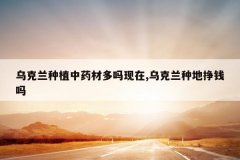 <b>�ڿ�����ֲ��ҩ�Ķ�������,�ڿ����ֵ���Ǯ��</b>