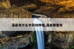 <b>������ʲô��ҩ����ֲ,����������</b>