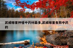<b>����������ֲ��ҩ�����,���������а���ҩ��</b>
