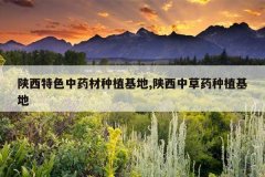 <b>������ɫ��ҩ����ֲ����,�����в�ҩ��ֲ����</b>