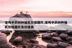 <b>������ҩ����ֲ���۸�ͼƬ,������ҩ����ֲ���۸�ͼƬ���۸��</b>