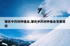 <b>������ҩ����ֲҵ,������ҩ����ֲҵ��չ��״</b>