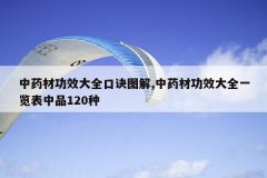 <b>��ҩ�Ĺ�Ч��ȫ�ھ�ͼ��,��ҩ�Ĺ�Ч��ȫһ������Ʒ120��</b>