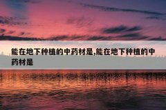 <b>���ڵ�����ֲ����ҩ����,���ڵ�����ֲ����ҩ����</b>