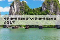 <b>��ҩ����ֲʾ������,��ҩ����ֲʾ��������ôд</b>