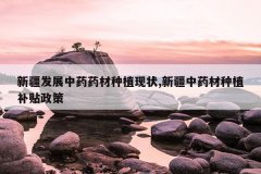 <b>�½���չ��ҩҩ����ֲ��״,�½���ҩ����ֲ��������</b>