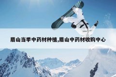 <b>üɽ������ҩ����ֲ,üɽ��ҩ���չ�����</b>