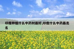 <b>ӡ����ֲʲô��ҩ�����,ӡ��ʲô��ҩ�����</b>