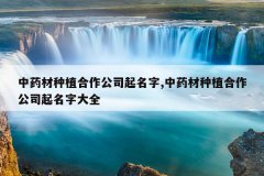 <b>��ҩ����ֲ������˾������,��ҩ����ֲ������˾�����ִ�ȫ</b>