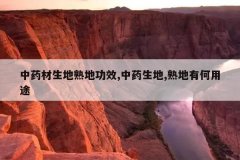<b>��ҩ��������ع�Ч,��ҩ����,����к���;</b>