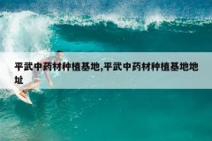 <b>ƽ����ҩ����ֲ����,ƽ����ҩ����ֲ���ص�ַ</b>