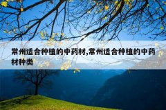 <b>�����ʺ���ֲ����ҩ��,�����ʺ���ֲ����ҩ������</b>