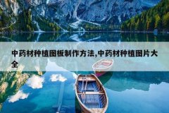<b>��ҩ����ֲͼ����������,��ҩ����ֲͼƬ��ȫ</b>