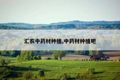 <b>��ũ��ҩ����ֲ,��ҩ����ֲ��</b>