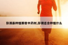 <b>�ֶ�����ֲ��Щ��ҩ��,�ֶ��ʺ���ֲʲô</b>