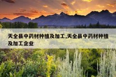 <b>��ȫ����ҩ����ֲ���ӹ�,��ȫ����ҩ����ֲ���ӹ���ҵ</b>