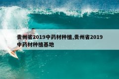 <b>����ʡ2019��ҩ����ֲ,����ʡ2019��ҩ����ֲ����</b>