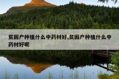 <b>ƶ������ֲʲô��ҩ�ĺ�,ƶ������ֲʲô��ҩ�ĺ���</b>