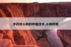 <b>��ҩ��С�����ֲ����,С������</b>