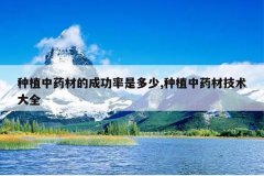 <b>��ֲ��ҩ�ĵĳɹ����Ƕ���,��ֲ��ҩ�ļ�����ȫ</b>