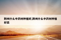 <b>����ʲô��ҩ����ֲ��,����ʲô��ҩ����ֲ����</b>