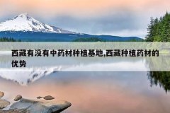 <b>������û����ҩ����ֲ����,������ֲҩ�ĵ�����</b>