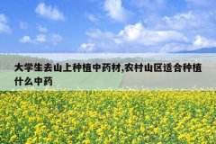 <b>��ѧ��ȥɽ����ֲ��ҩ��,ũ��ɽ���ʺ���ֲʲô��ҩ</b>