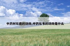 <b>��ҩ��ʯ¹�Ĺ�Ч,��ҩʯΤ�Ĺ�Ч��ʲô</b>