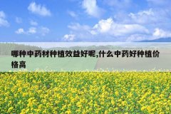 <b>������ҩ����ֲЧ�����,ʲô��ҩ����ֲ�۸��</b>