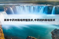 <b>����ҩ��������ֲ����,��ҩ�ĵ����༼��</b>