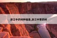 <b>�㽭��ҩ����ֲ��,�㽭�в�ҩ��</b>