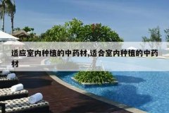<b>��Ӧ������ֲ����ҩ��,�ʺ�������ֲ����ҩ��</b>
