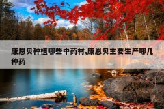<b>��������ֲ��Щ��ҩ��,��������Ҫ�����ļ���ҩ</b>