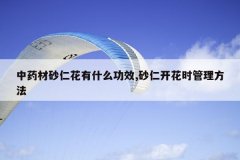 <b>��ҩ��ɰ�ʻ���ʲô��Ч,ɰ�ʿ���ʱ��������</b>