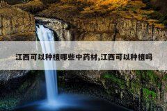 <b>����������ֲ��Щ��ҩ��,����������ֲ��</b>