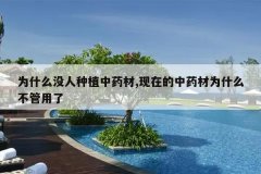 <b>Ϊʲôû����ֲ��ҩ��,���ڵ���ҩ��Ϊʲô��������</b>