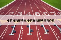 <b>��ҩ�Ĺ��ٹ�Ч,��ҩ�Ĺ��ٹ�Ч������</b>