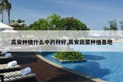 <b>�߰���ֲʲô��ҩ�ĺ�,�߰��߲���ֲ����</b>