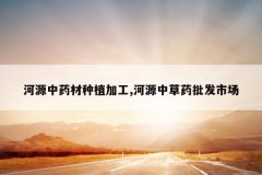 <b>��Դ��ҩ����ֲ�ӹ�,��Դ�в�ҩ�����г�</b>