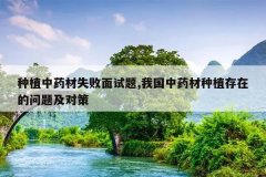 <b>��ֲ��ҩ��ʧ��������,�ҹ���ҩ����ֲ���ڵ����⼰�Բ�</b>