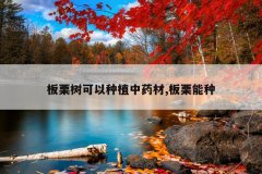 <b>������������ֲ��ҩ��,��������</b>