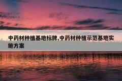 <b>��ҩ����ֲ���ر���,��ҩ����ֲʾ������ʵʩ����</b>