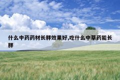 <b>ʲô��ҩҩ�ĳ���Ч����,��ʲô�в�ҩ�ܳ���</b>