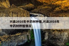 <b>����2016����ҩ����ֲ,����2016����ҩ����ֲ���</b>